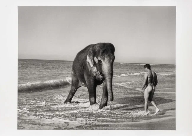 Bruce Weber 
