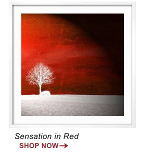 Sensation in Red