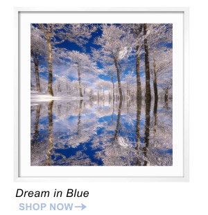 Dream in Blue