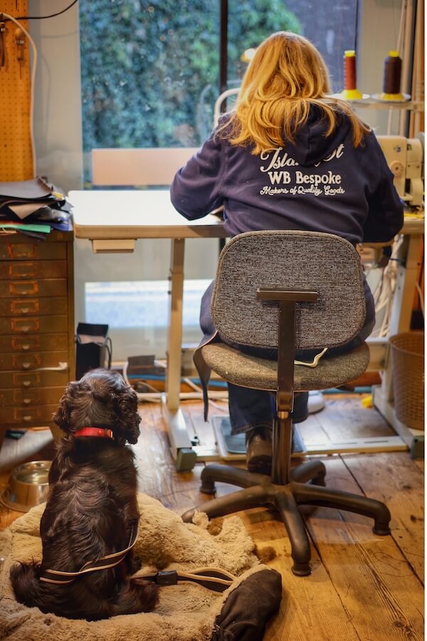 Jossy and Bumble at the sewing machine