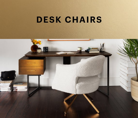 Desk Chairs