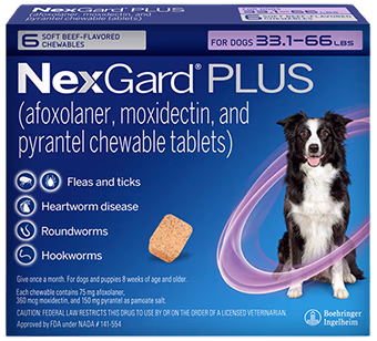Nutramax Filaquin Anal Gland Soft Chew Supplement for Dogs