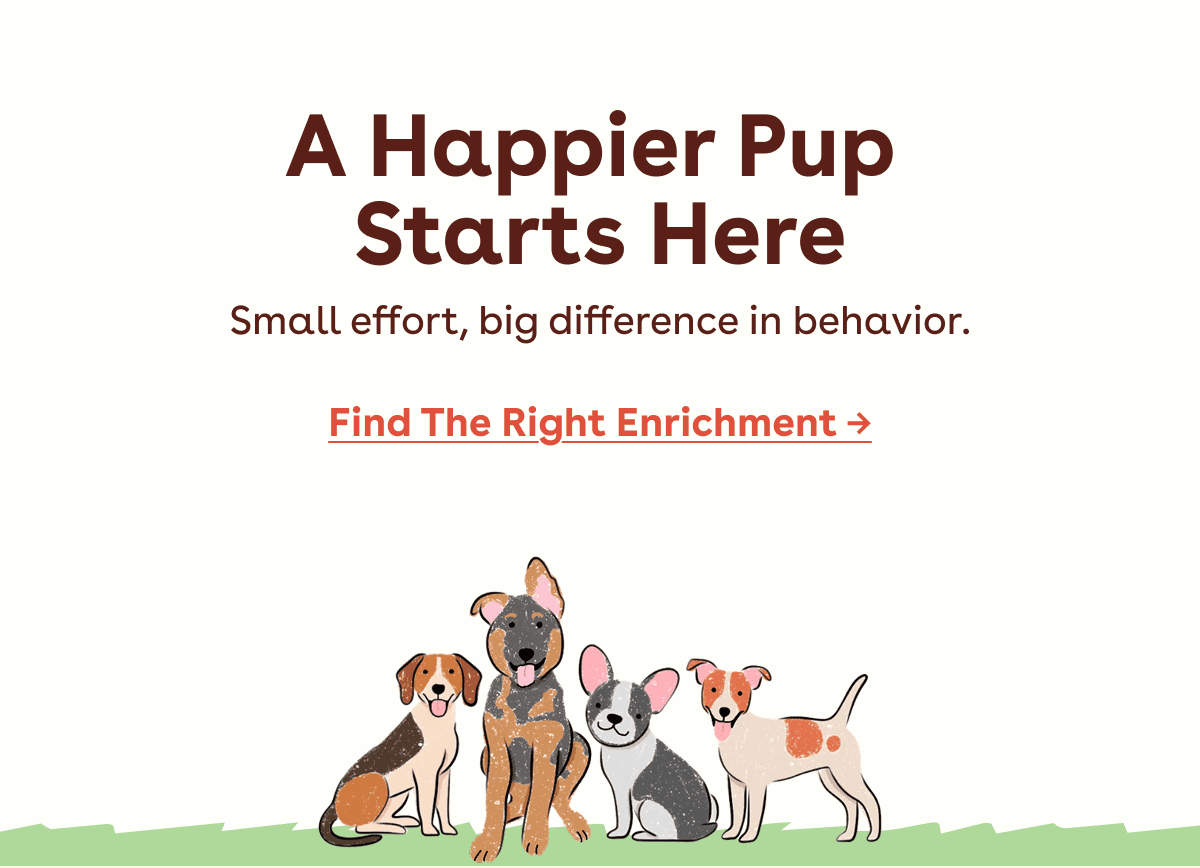 Find the right enrichment 