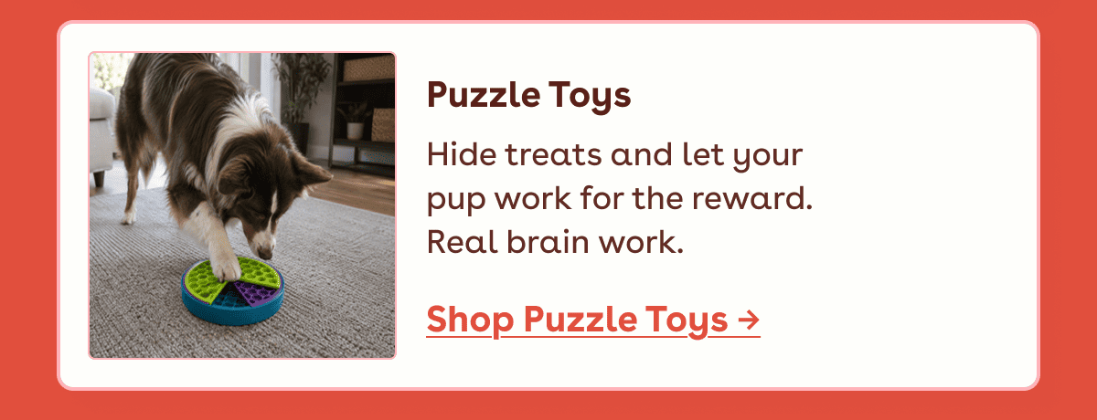 Puzzle toys 