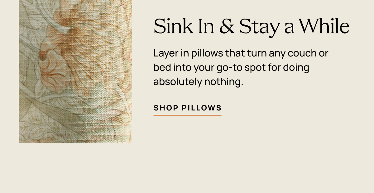 Shop Pillows
