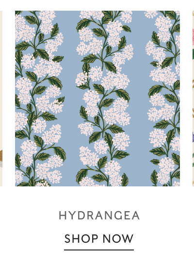 HYDRANGEA | SHOP NOW
