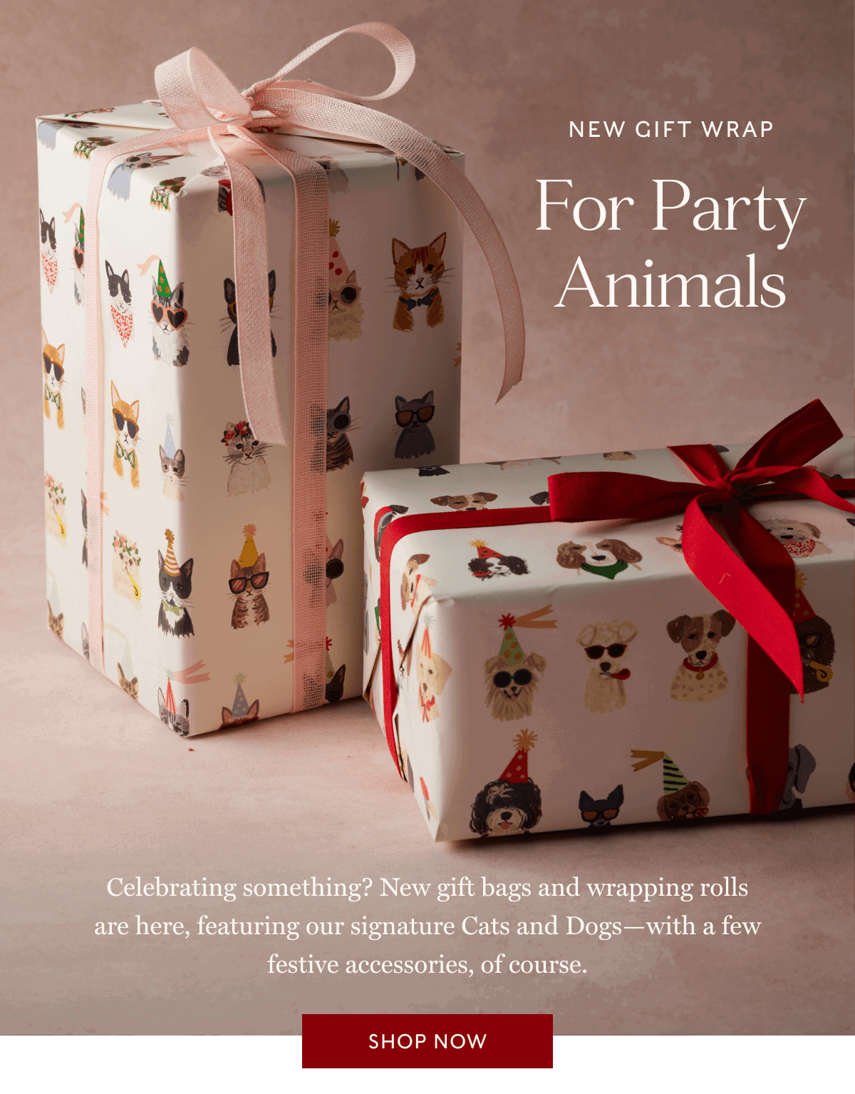 NEW GIFT WRAP For Party Animals - Celebrating something? New gift bags and wrapping rolls are here, featuring our signature Cats and Dogs—with a few festive accessories, of course. | SHOP NOW
