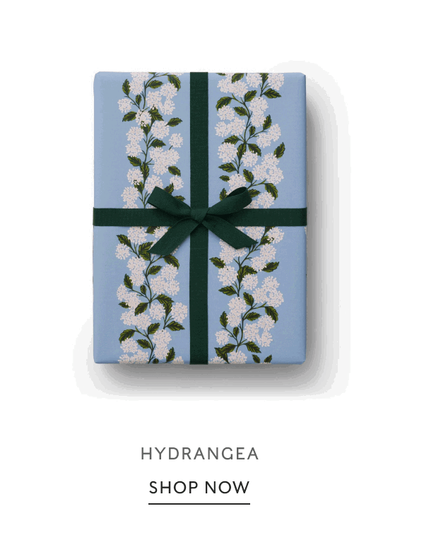 HYDRANGEA | SHOP NOW