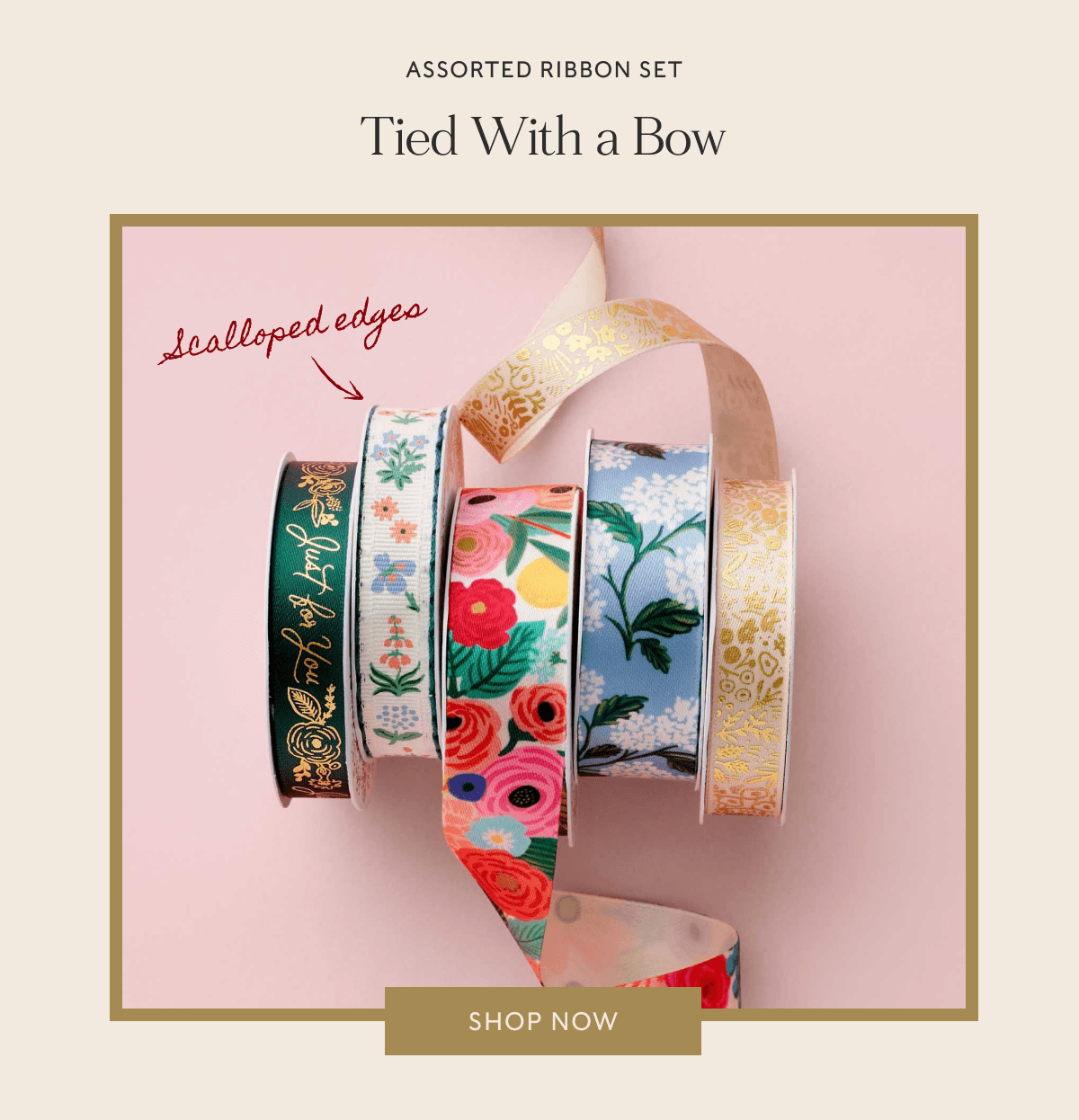 ASSORTED RIBBON SET Tied With a Bow | SHOP NOW