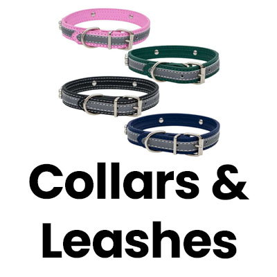 Collars and leashes.