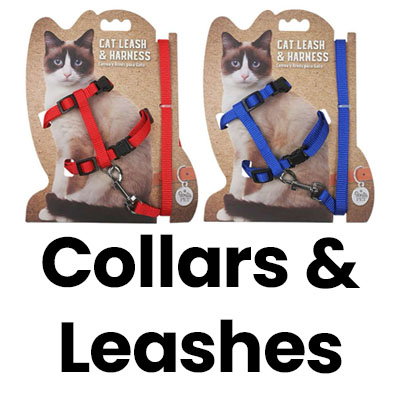 Collars and leashes.