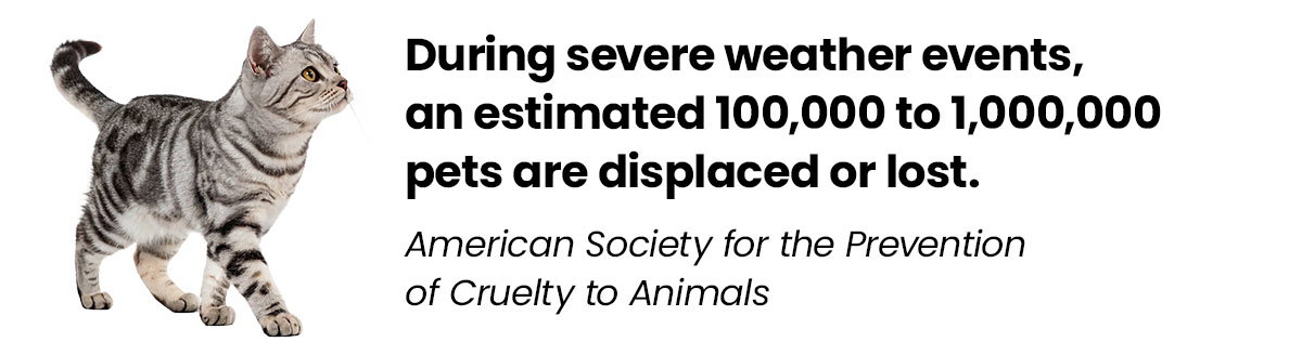 During severe weather events an estimated 100,000 to 1,000,000 pets are displaces or lost.