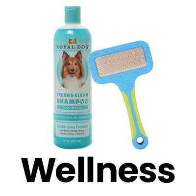 Wellness.