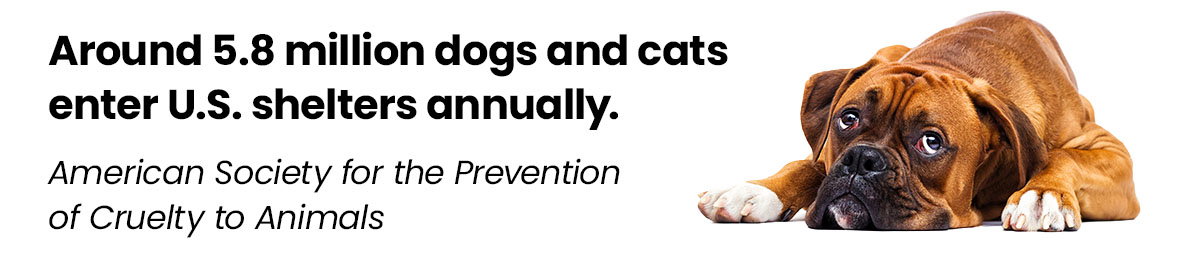 Around 5.8 million dogs and cats enter U.S. shelters annually.