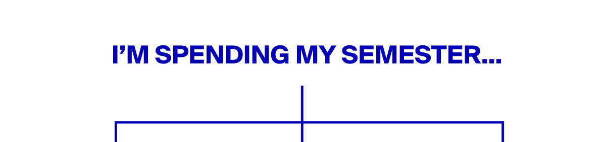 I'm Spending My Semester...