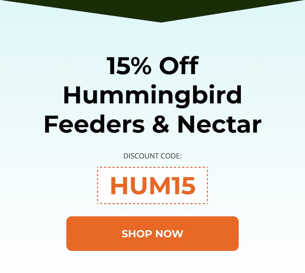 15% Off Hummingbird Feeders & Nectar