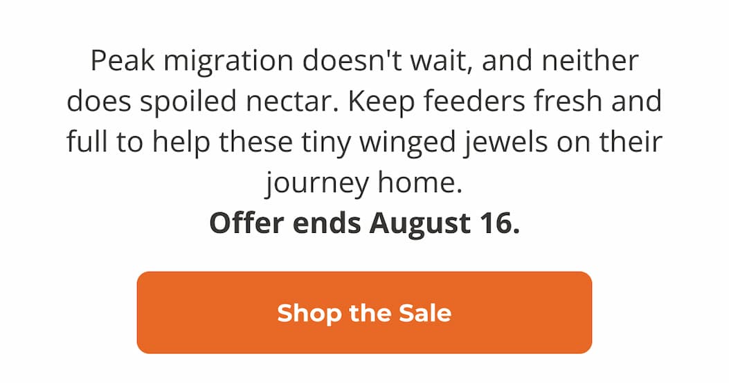 Peak migration doesn't wait, and neither does spoiled nectar