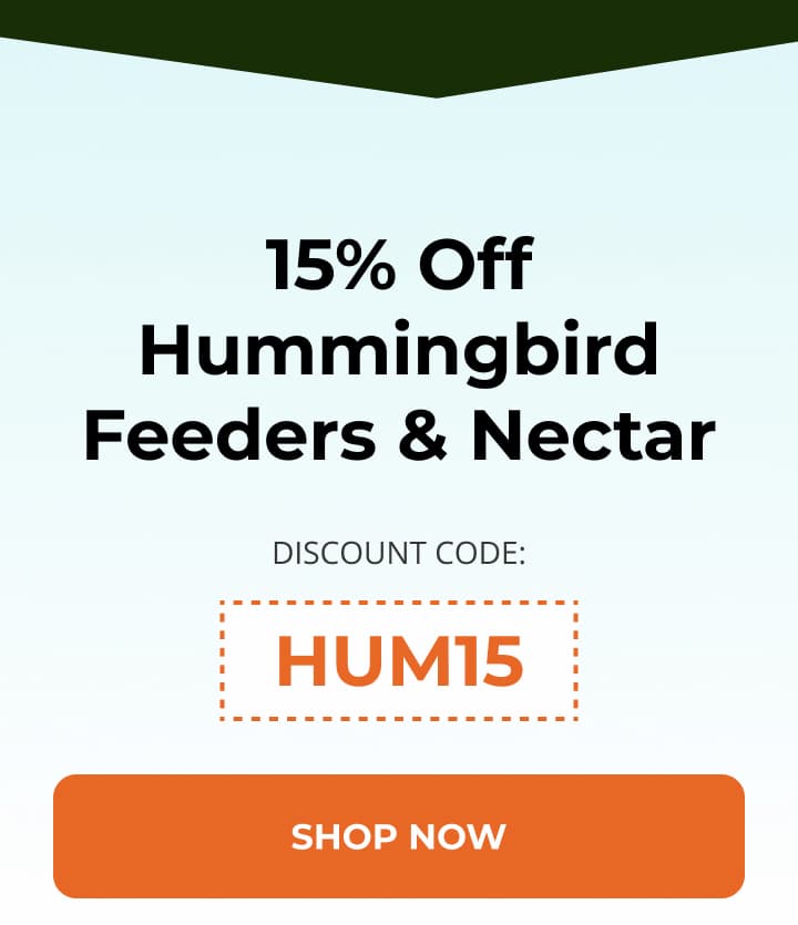 15% Off Hummingbird Feeders & Nectar