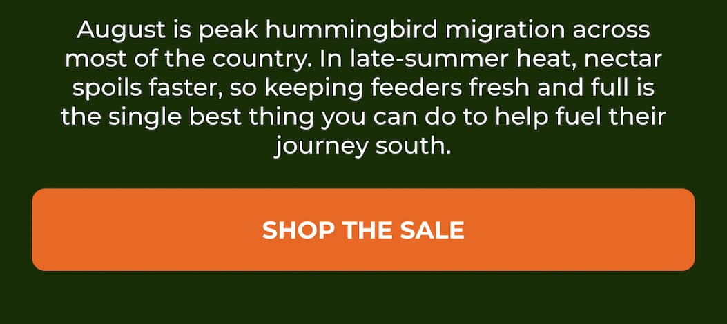 August is peak hummingbird migration across most of the country