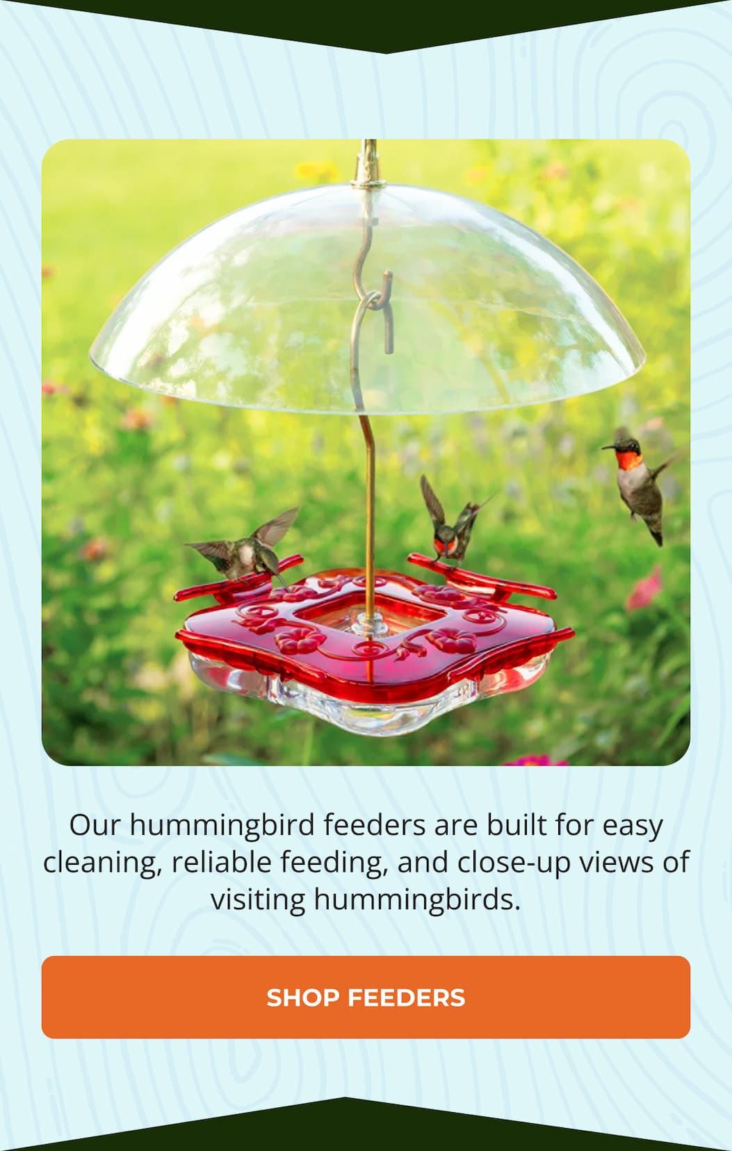 Our hummingbird feeders are built for easy cleaning
