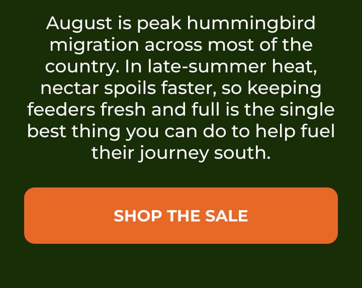 August is peak hummingbird migration across most of the country