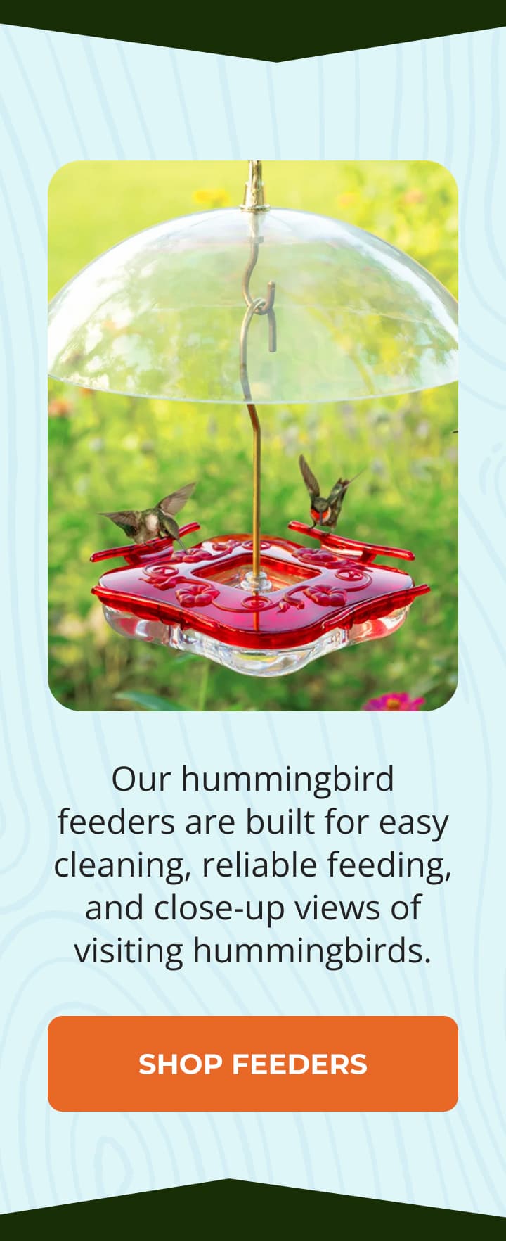 Our hummingbird feeders are built for easy cleaning