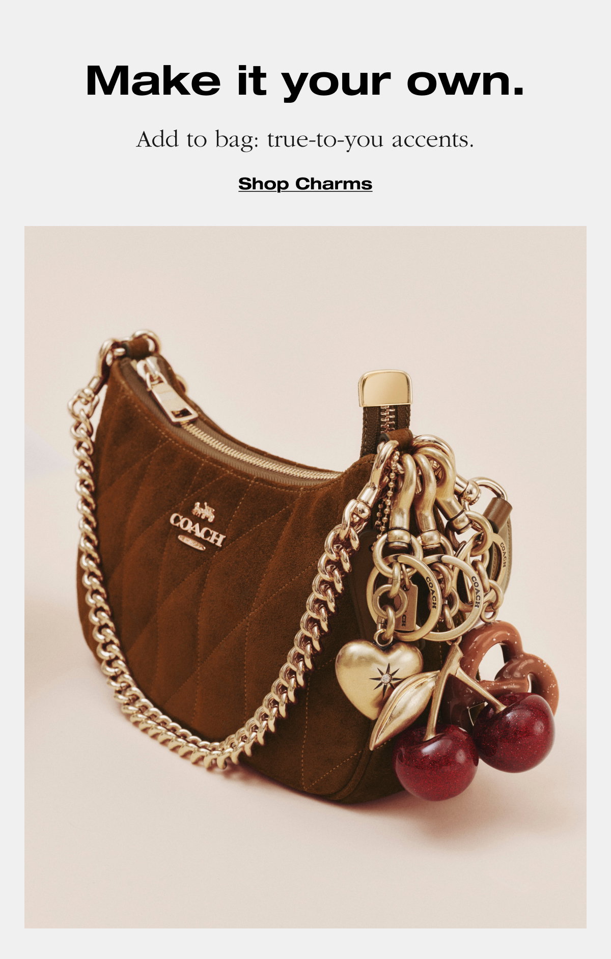 Make it your own. Add to bag: true-to-you accents. Shop Charms