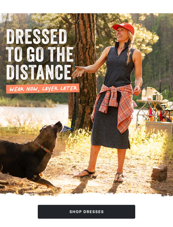 Shop New Dresses