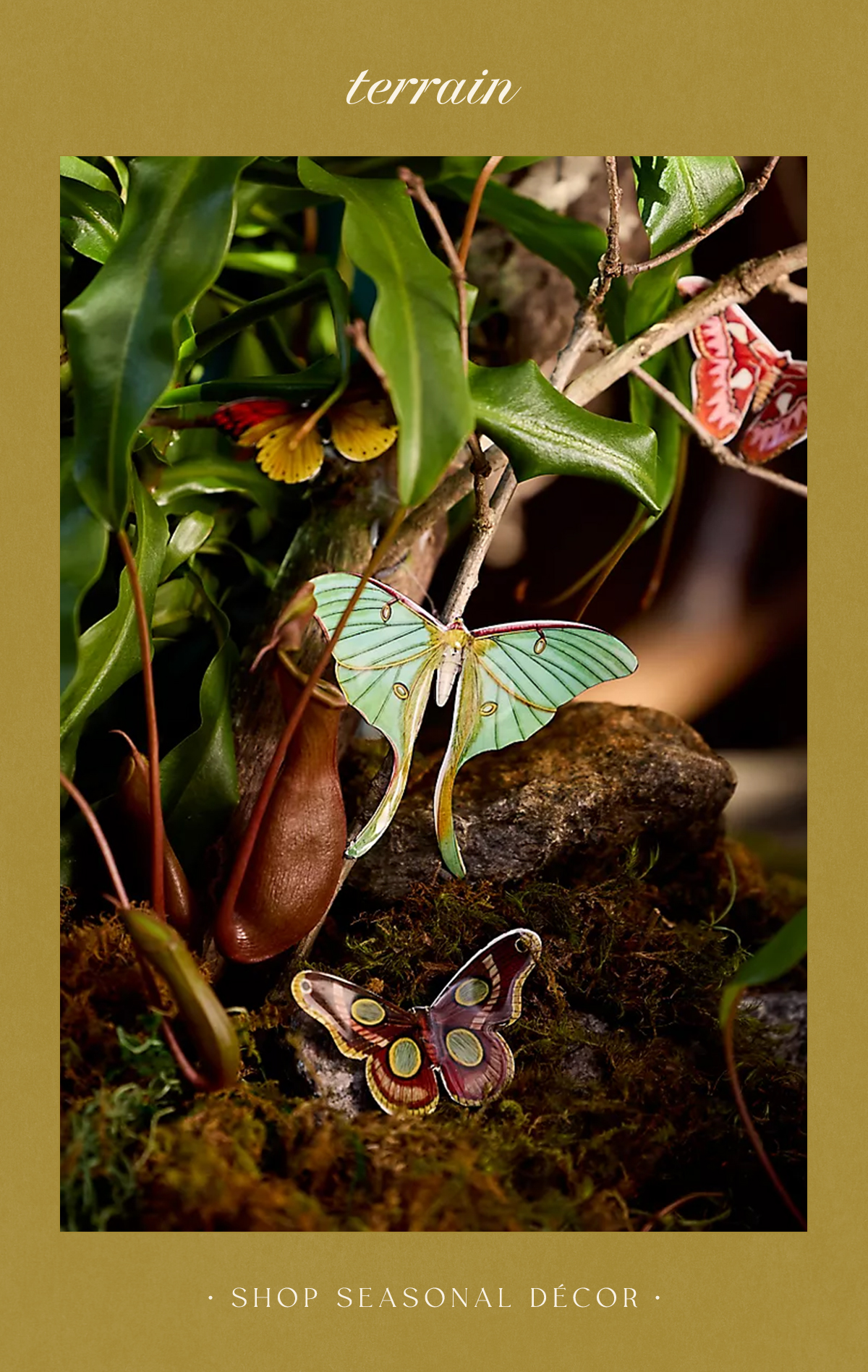 Decorative butterfly and moth clips, including a prominent pale green luna moth, resting among lush green leaves, moss, and pitcher plants on an olive green background. Text: terrain — SHOP SEASONAL DÉCOR.