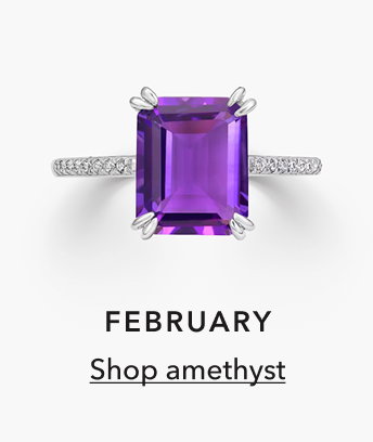 FEBRUARY | Shop amethyst