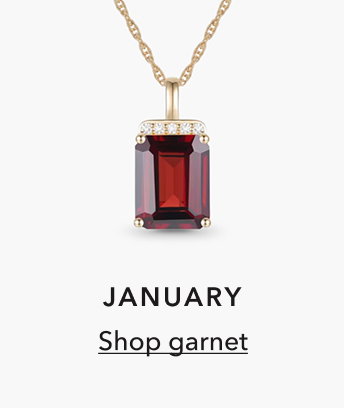 JANUARY | Shop garnet