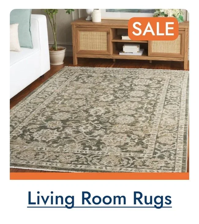 Save on Living Room Rugs