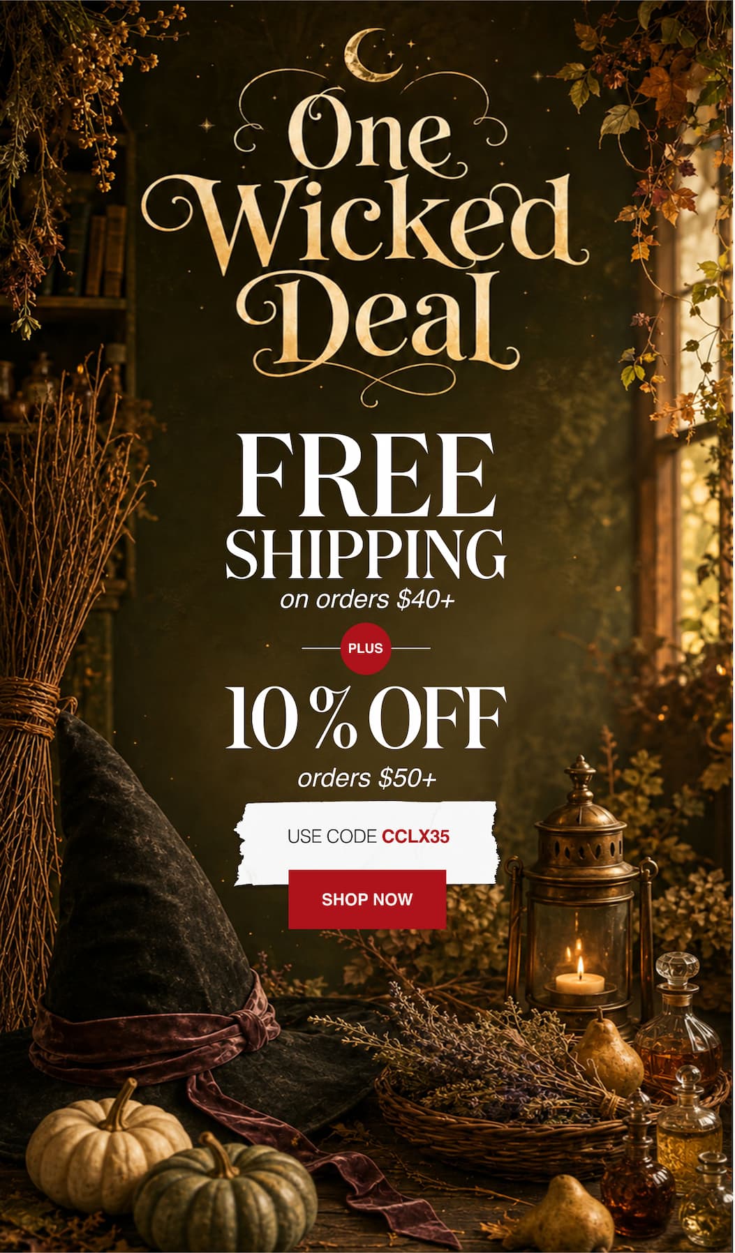 One Wicked Deal Free Shipping on orders $40+ Plus 10% Off Orders $50+
