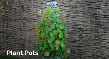 plant pots