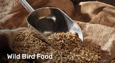 Wild bird food
