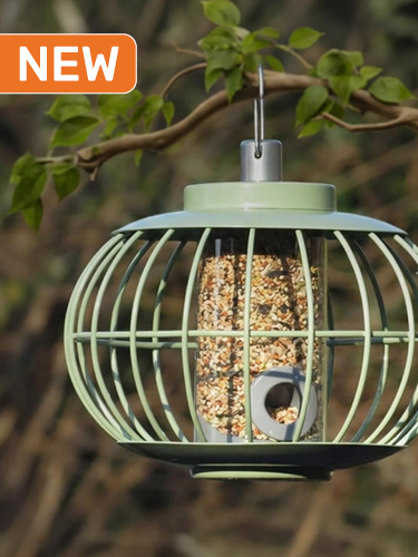The Nuttery Squirrel Proof Celadon Lantern Seed Feeder