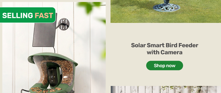 Solar Smart Bird Feeder with Camera