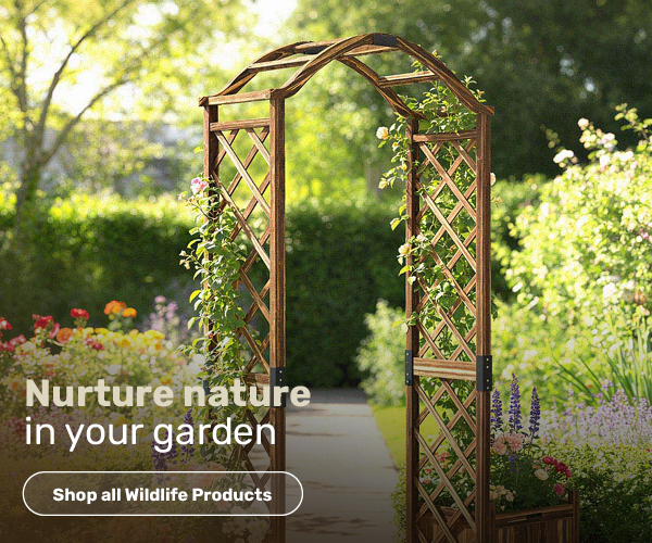 Nurture nature in your garden