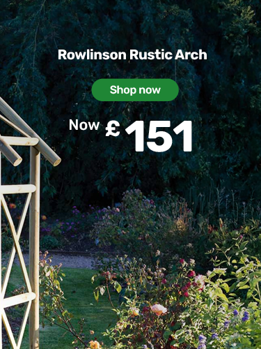 Rowlinson Rustic Arch