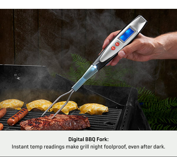 Digital BBQ Fork by Sharper Image