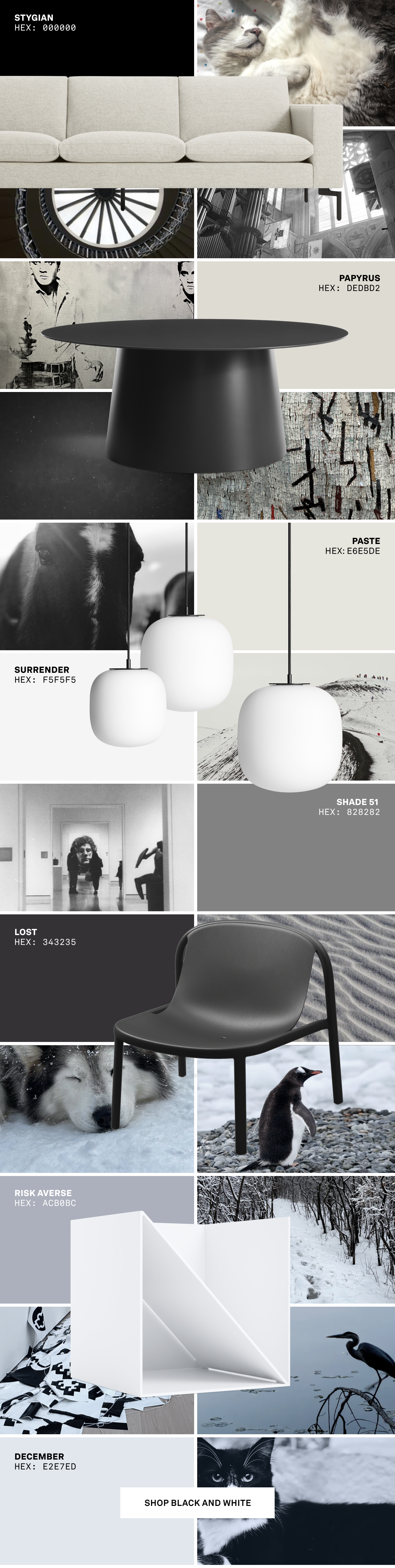 Black and White Color Story