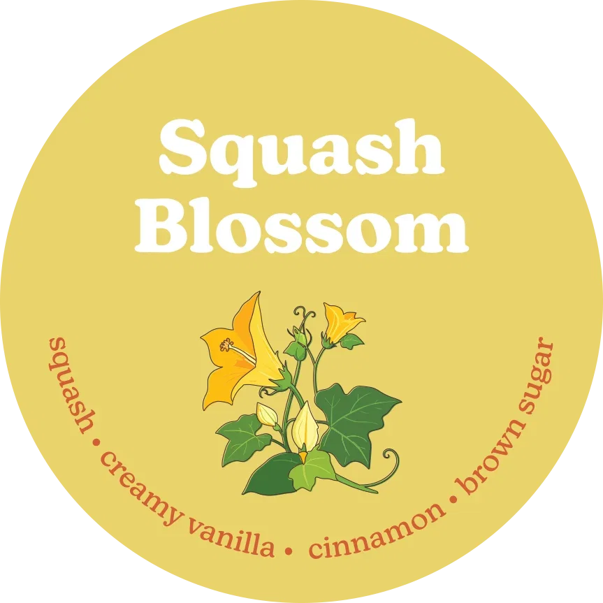 Image of Squash Blossom Wax Melts
