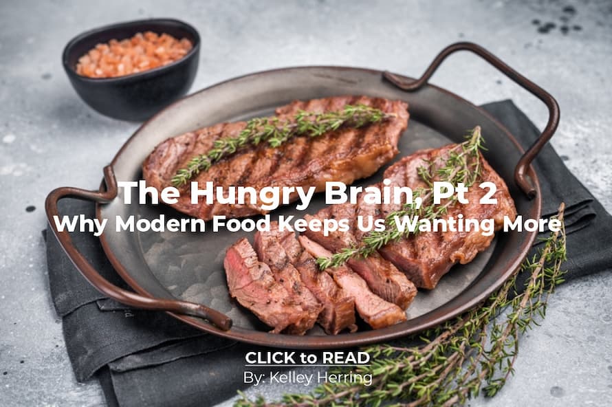 Kelley Herring, Hungry Brain pt2