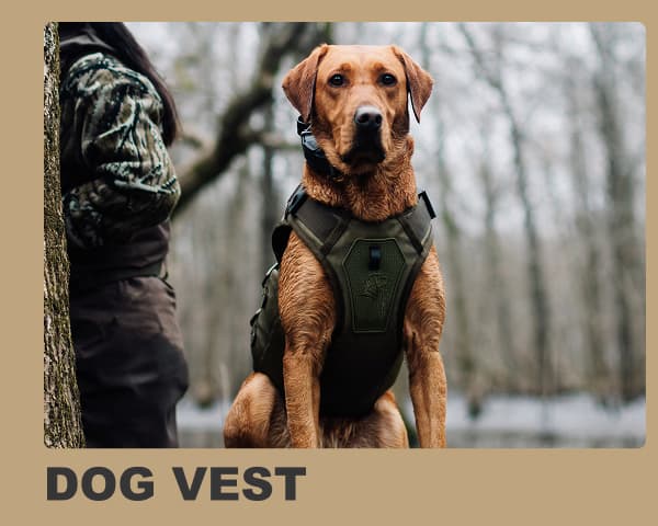 Dog Vest