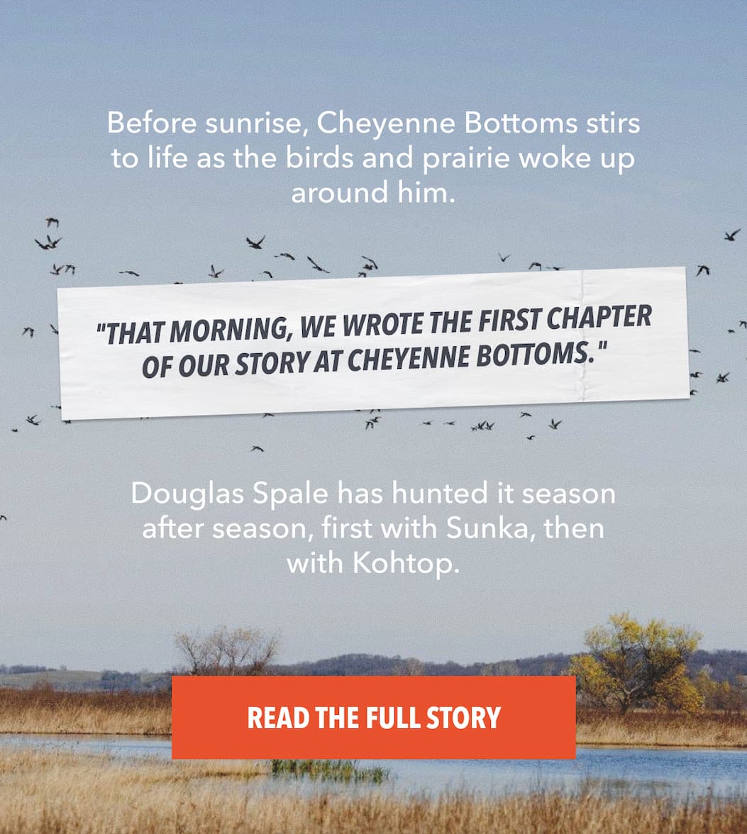 Read the Full Story