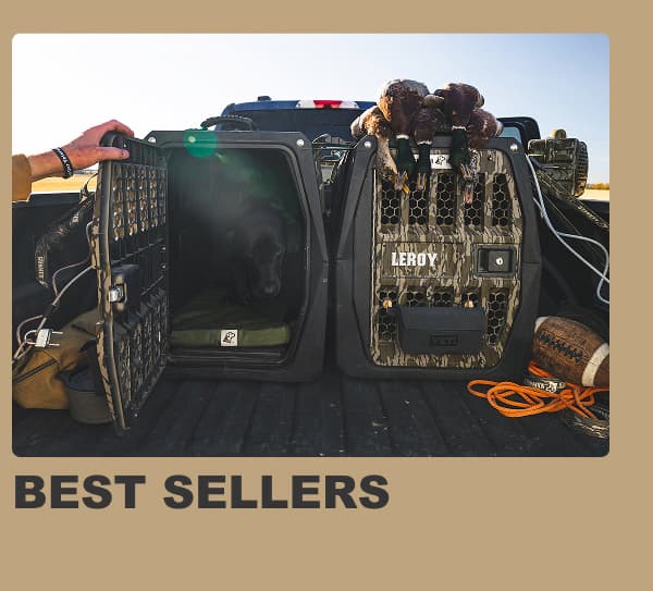 Best Sellers