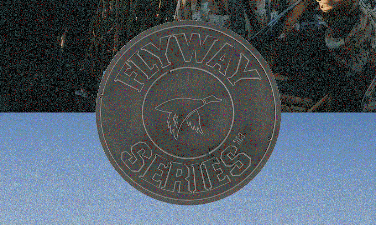 Flyway Series