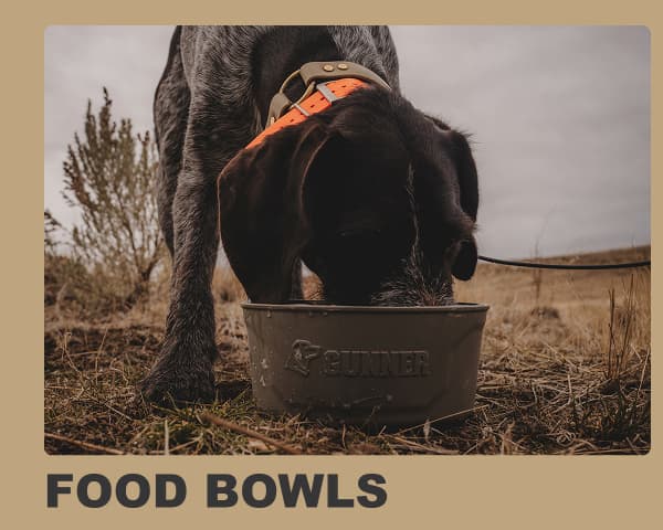 Food Bowls