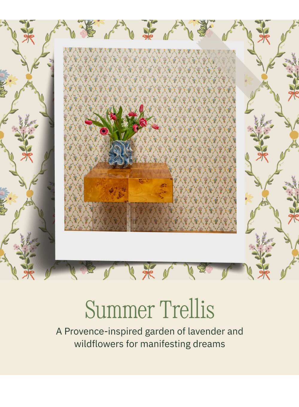 Summer Trellis A Provence-inspired garden of lavender and wildflowers for manifesting dreams 