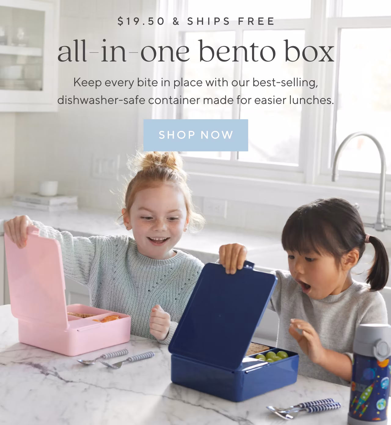 all-in-one bento box